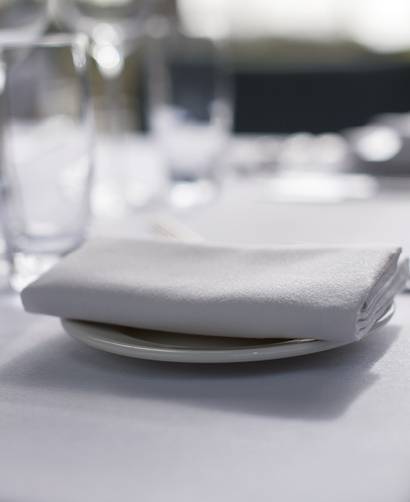 Lemongrove Napkin - STAR LINEN UK